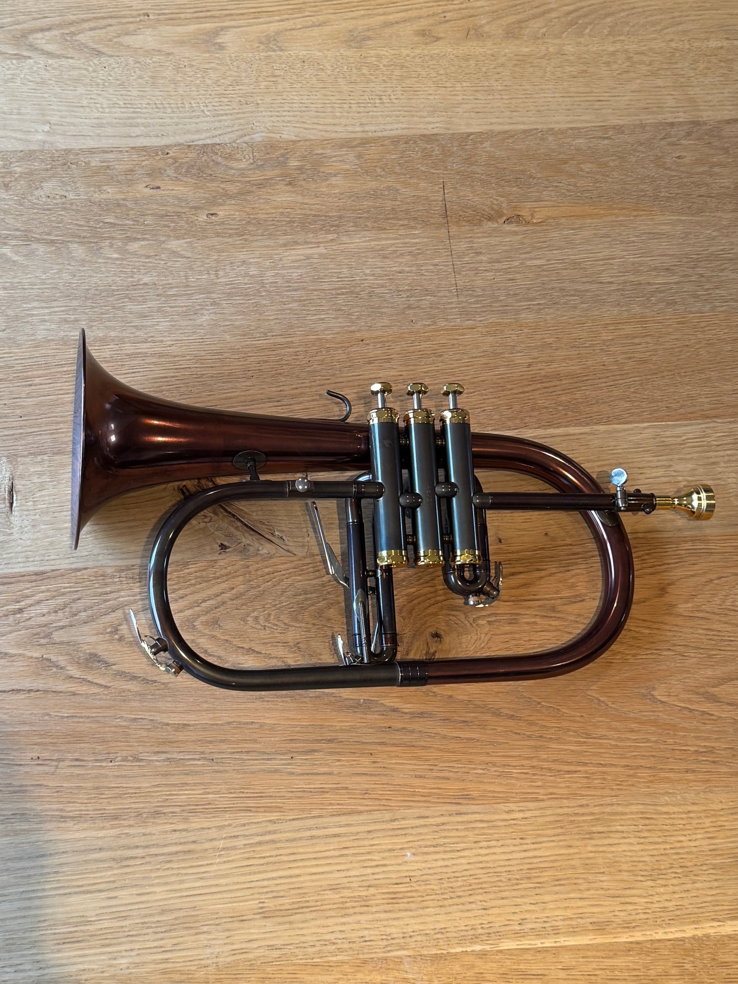 Buggle d'etude lechgold Germany