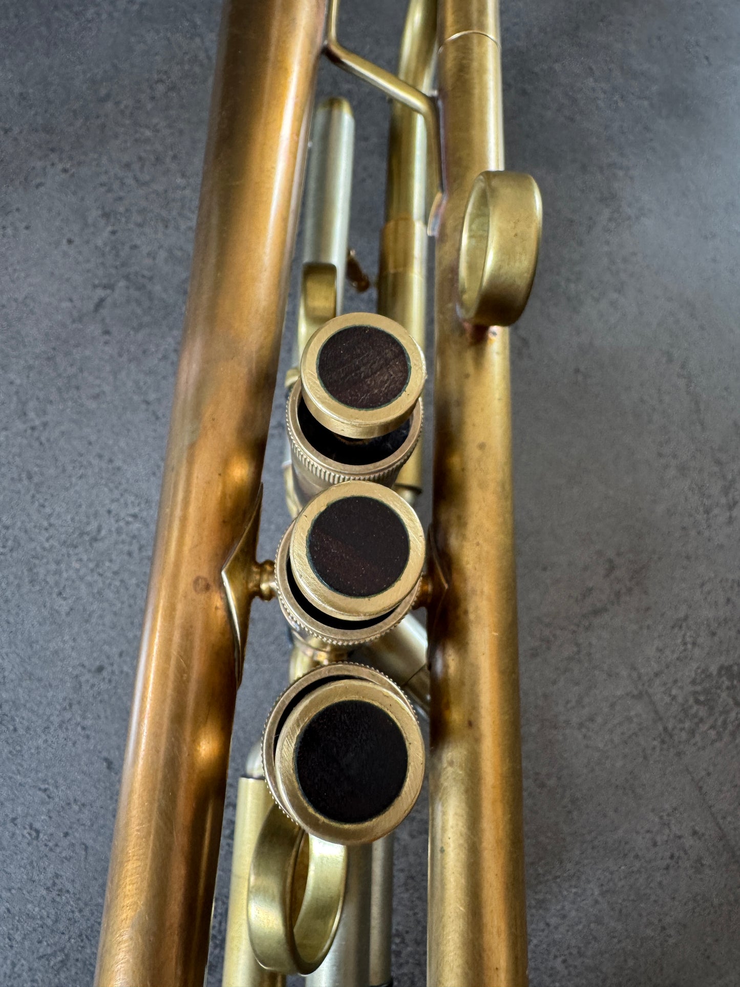 Taylor UK Chicago 46.II